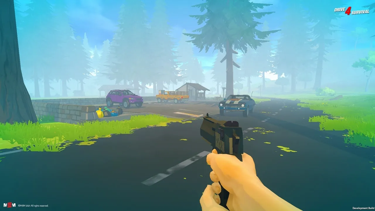 Drive 4 Survival — 1