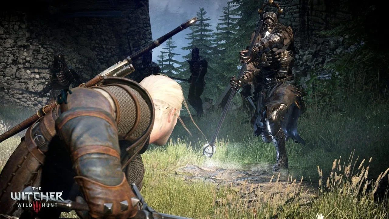 The Witcher 3: Wild Hunt — 8
