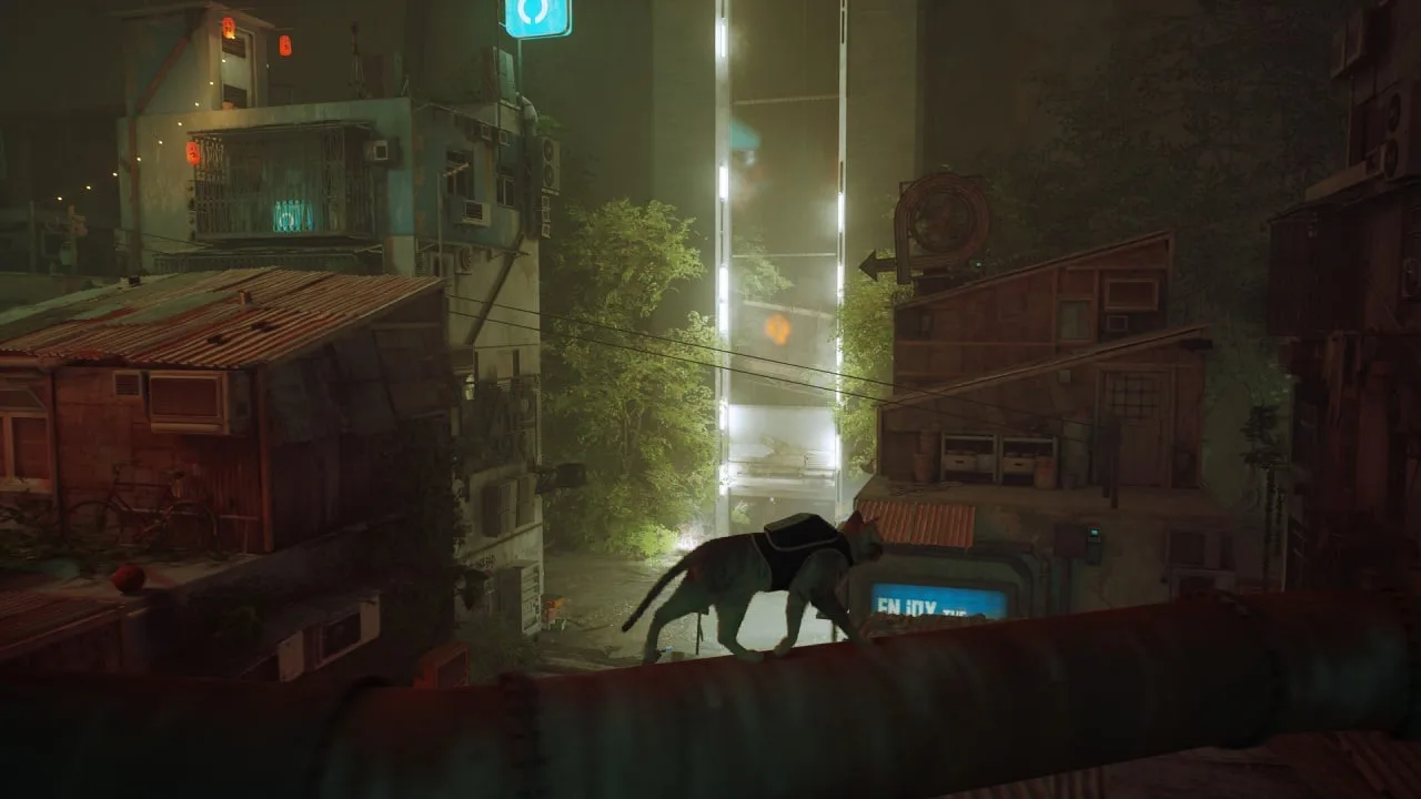 Stray — 2