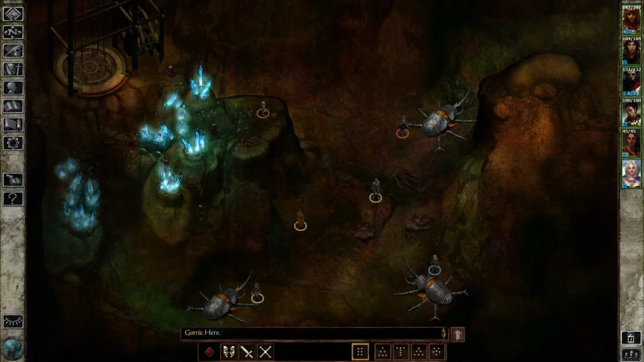 Icewind Dale: Enhanced Edition — 5