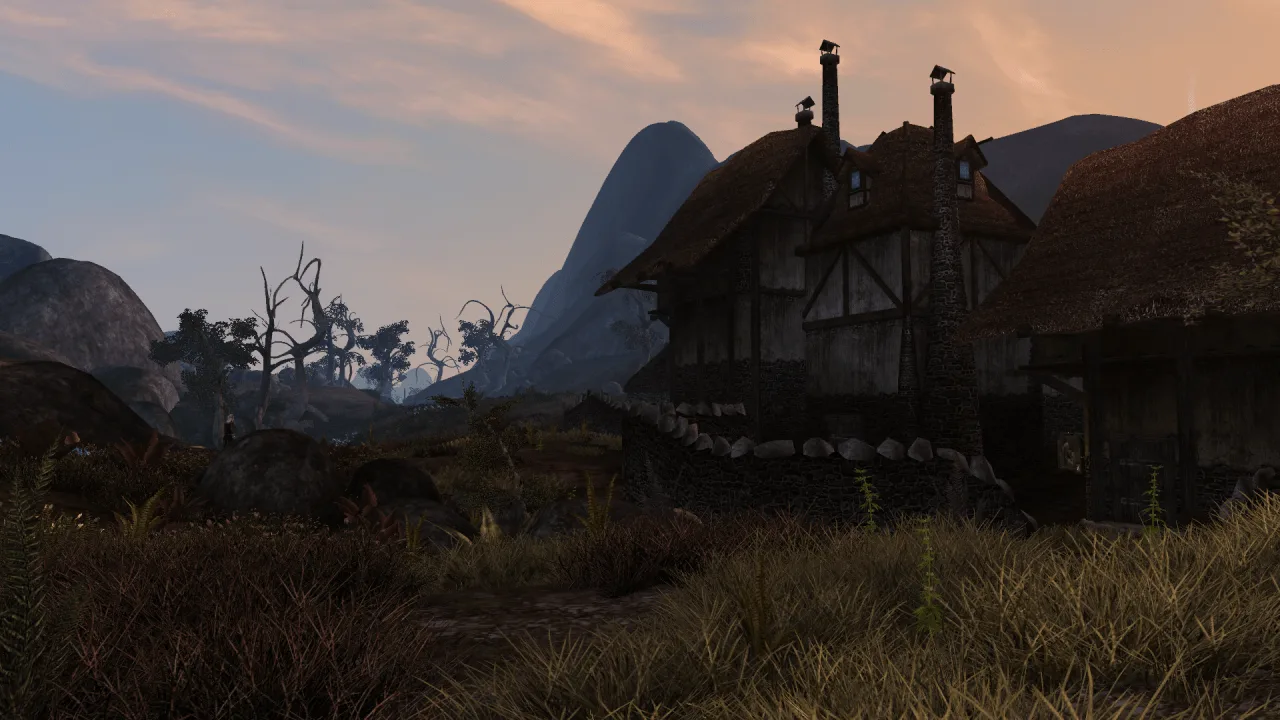 The Elder Scrolls 3: Morrowind Fullrest — 6