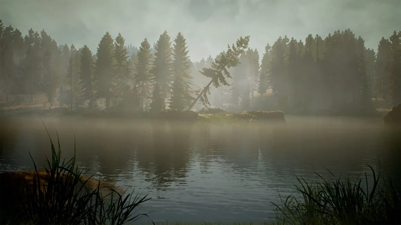BIGFOOT по сети — 3