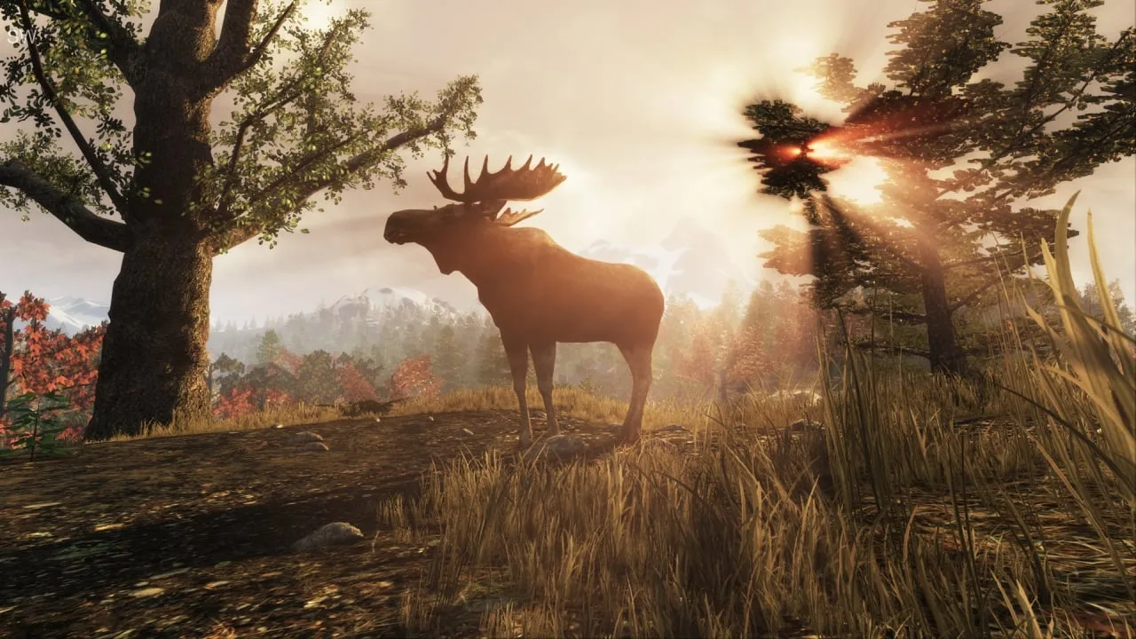 Subsistence — 11
