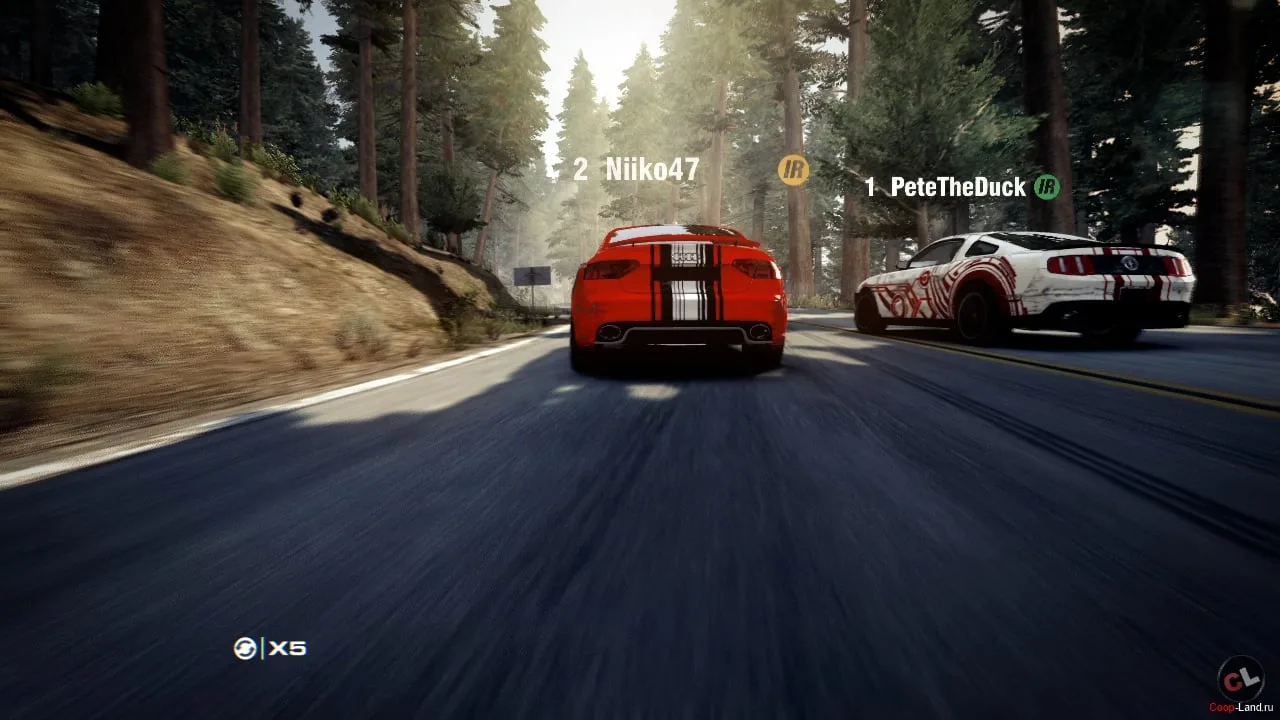 Grid 2 по сети — 1