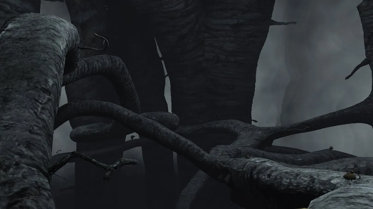 The Void — 5