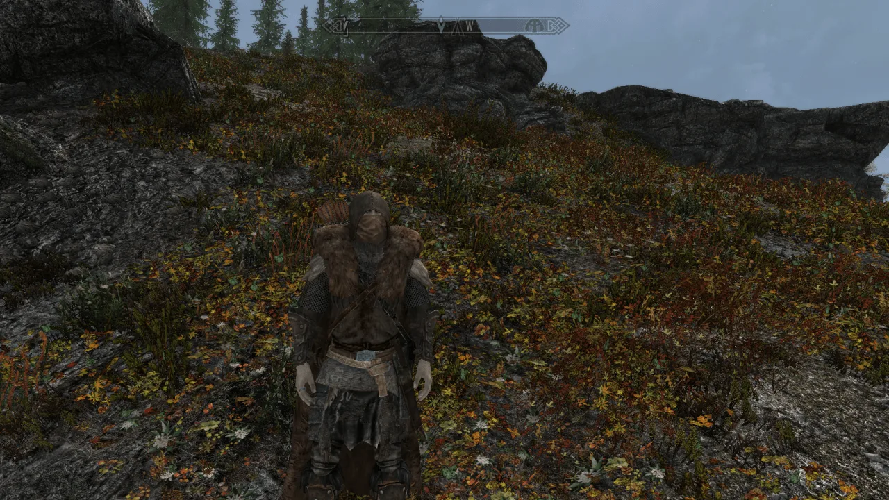 The Elder Scrolls 5: Skyrim Special - MarkMk2 Modpack — 5
