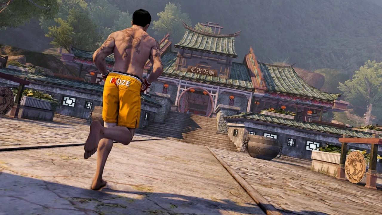Sleeping Dogs: Definitive Edition — 12