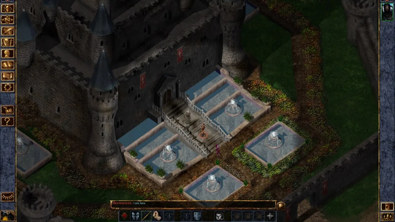 Baldur's Gate: Enhanced Edition — 8