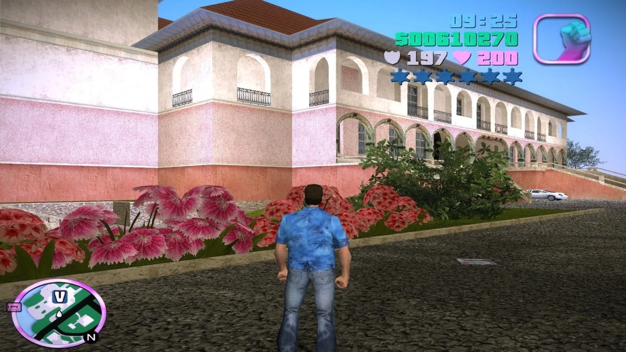 Grand Theft Auto: Vice City Plus — 1