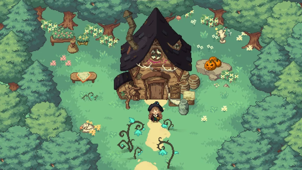 Little Witch in the Woods — 1