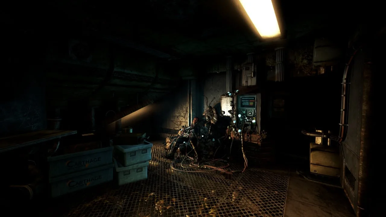SOMA — 5