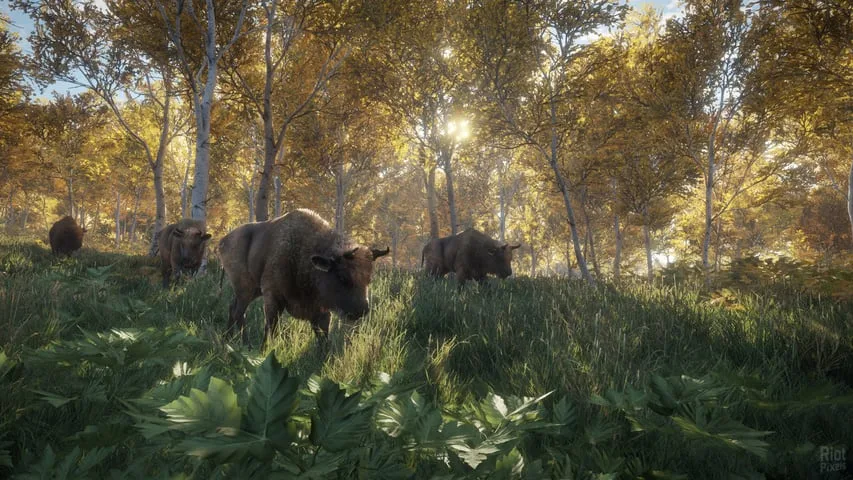 theHunter Call of the Wild по сети — 3