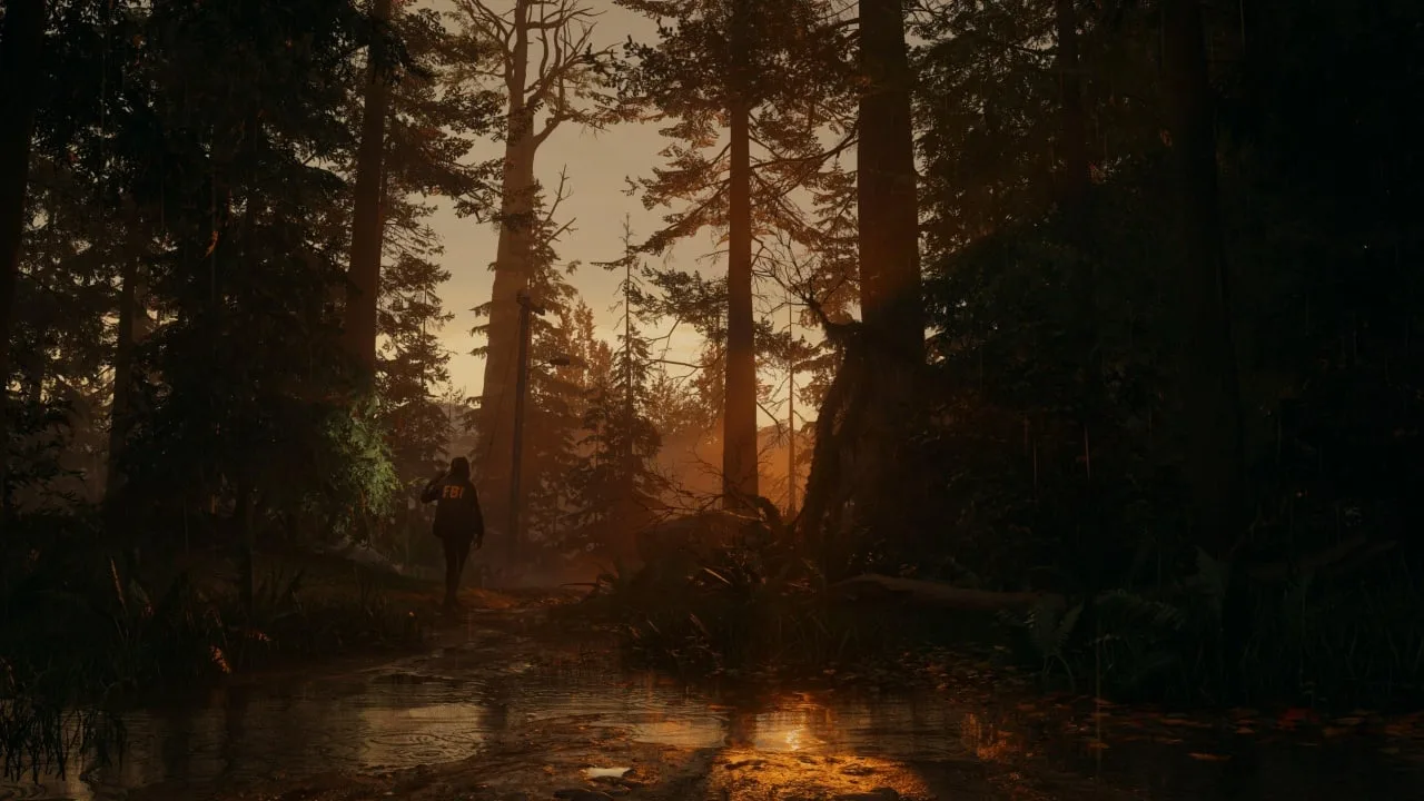 Alan Wake 2 — 3
