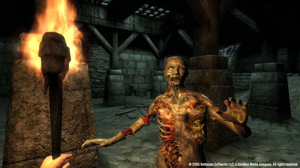 The Elder Scrolls 4: Oblivion Game of the Year Edition — 6