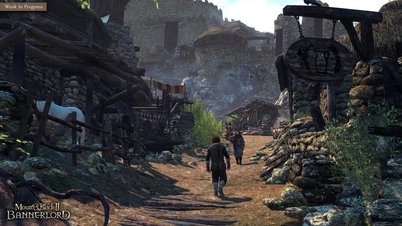 Mount and Blade 2: Bannerlord — 5