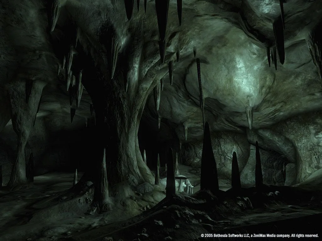 The Elder Scrolls 4: Oblivion Game of the Year Edition — 10