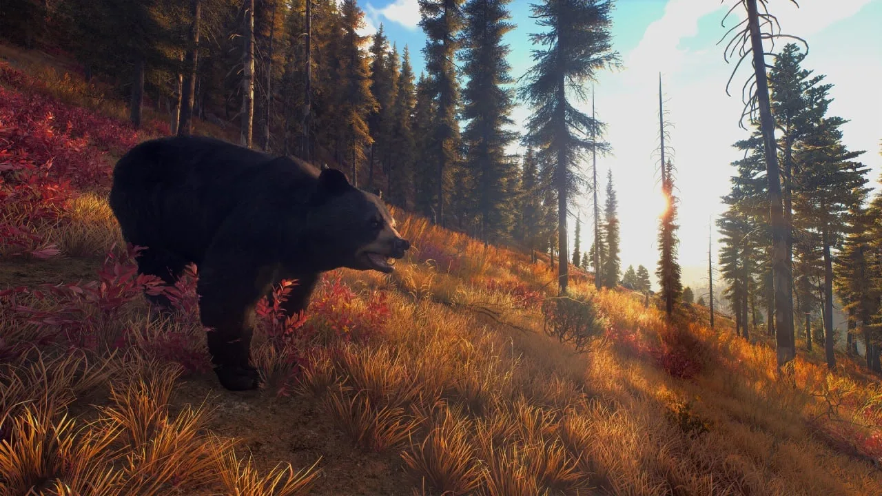 Way of the Hunter — 11