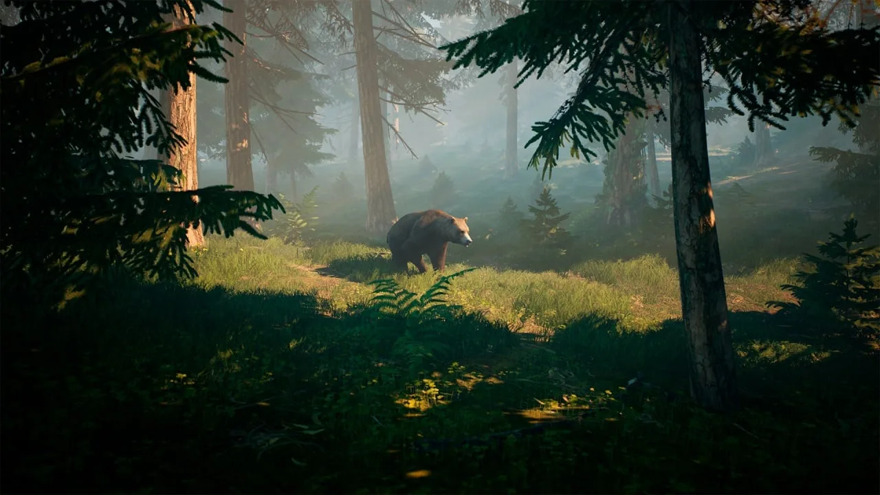 BIGFOOT по сети — 1