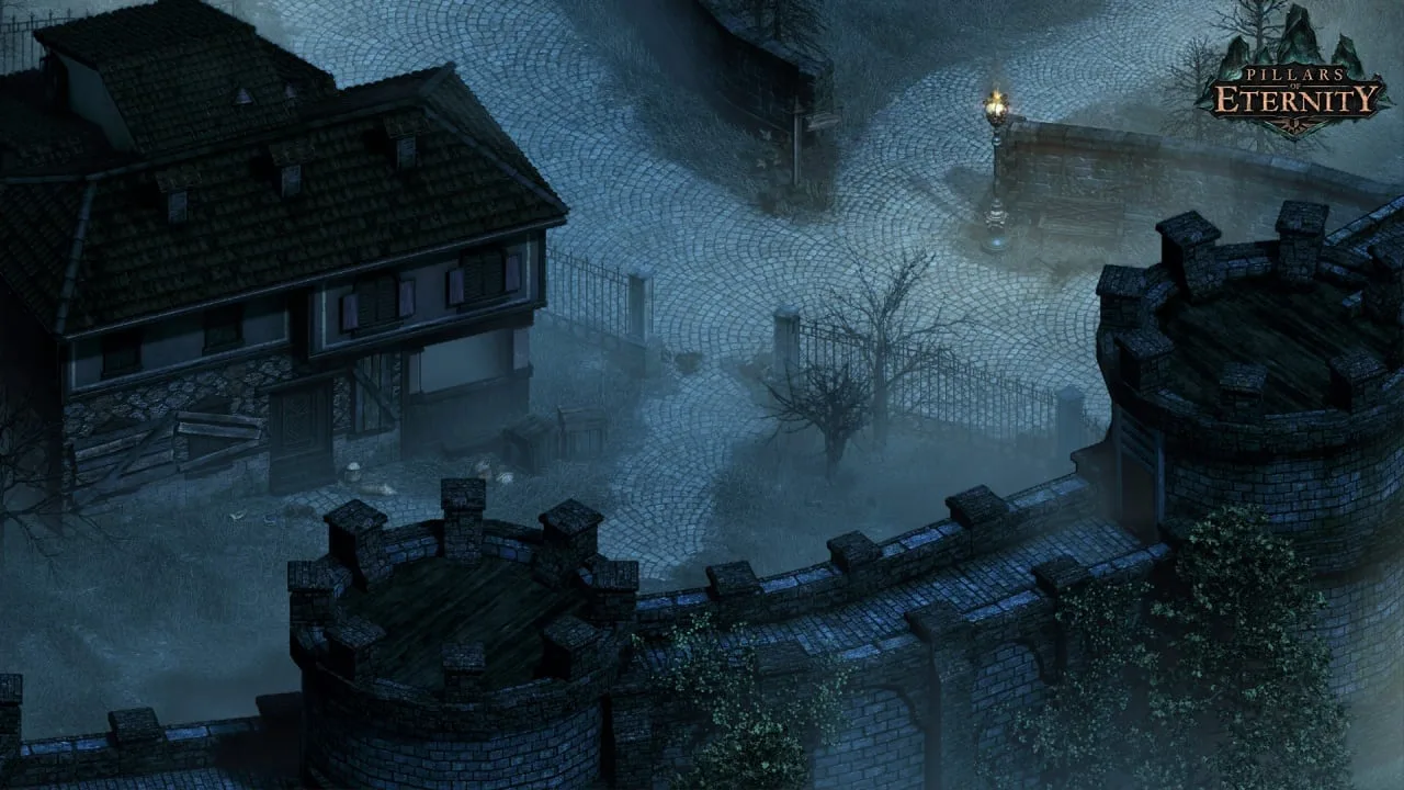 Pillars of Eternity — 7