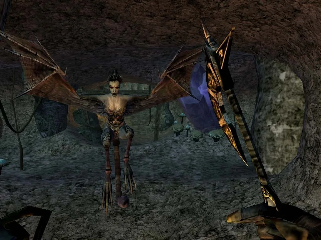 The Elder Scrolls 3: Morrowind Game of the Year Edition — 6