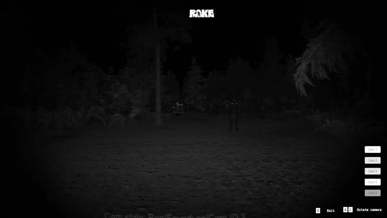 Rake по сети — 2