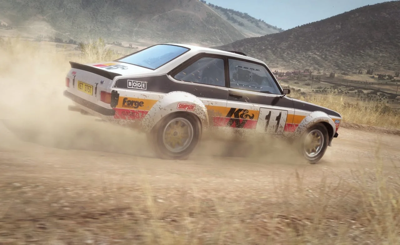 DiRT Rally — 12