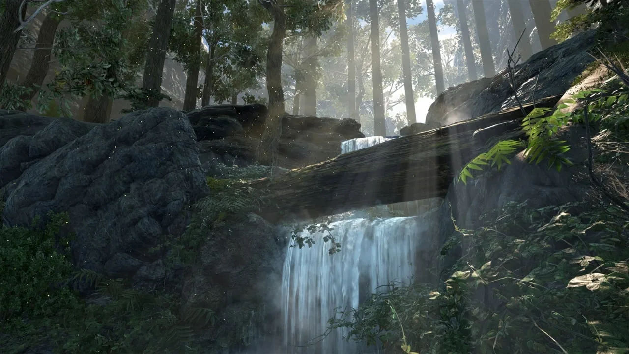 Dark and Light — 10