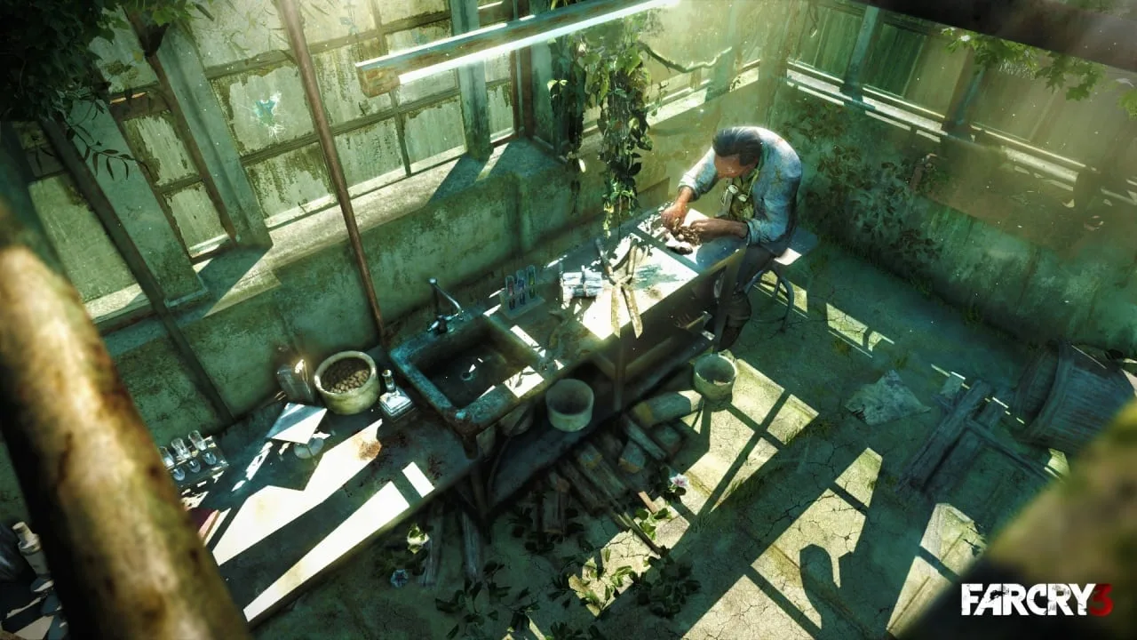 Far Cry 3 — 12