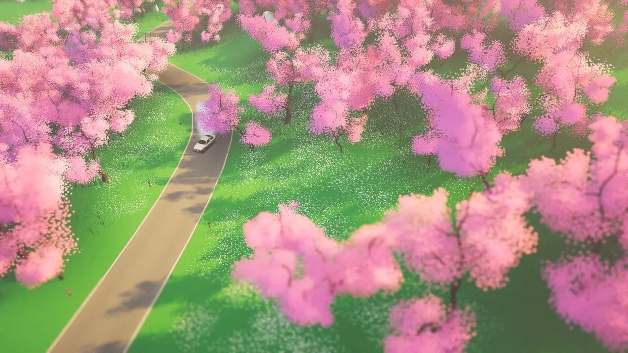 art of rally — 11