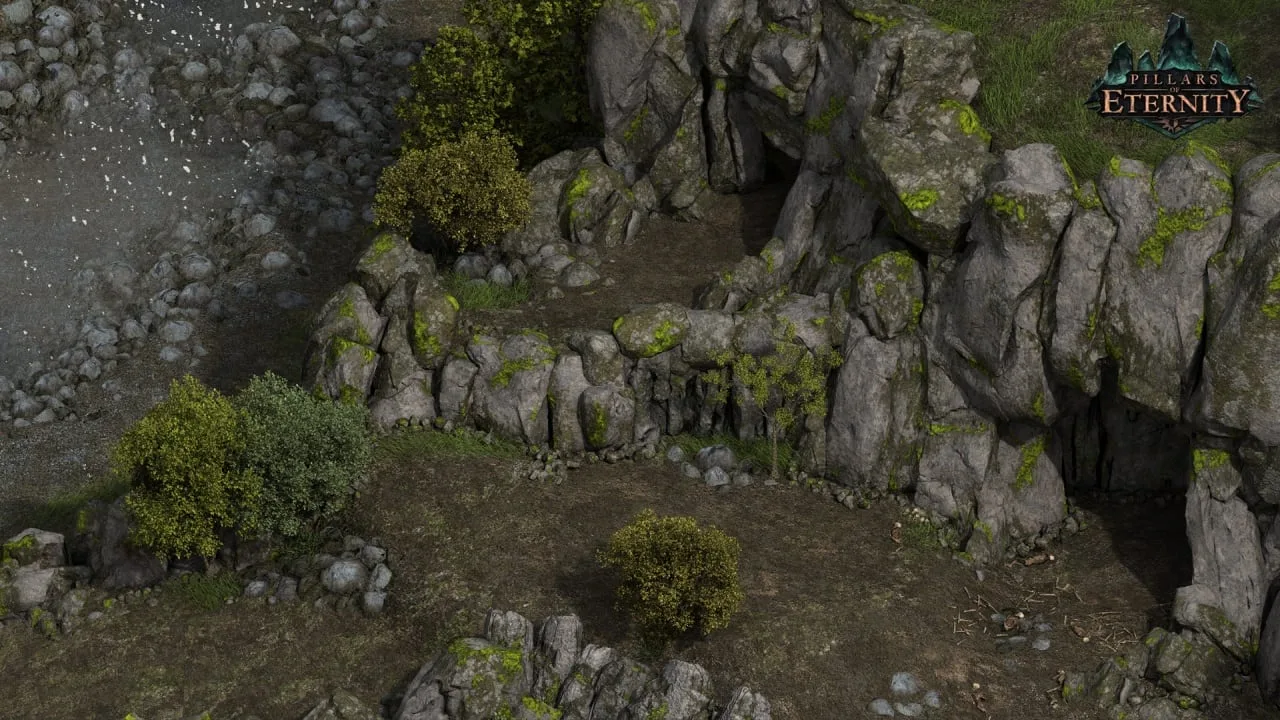 Pillars of Eternity — 8