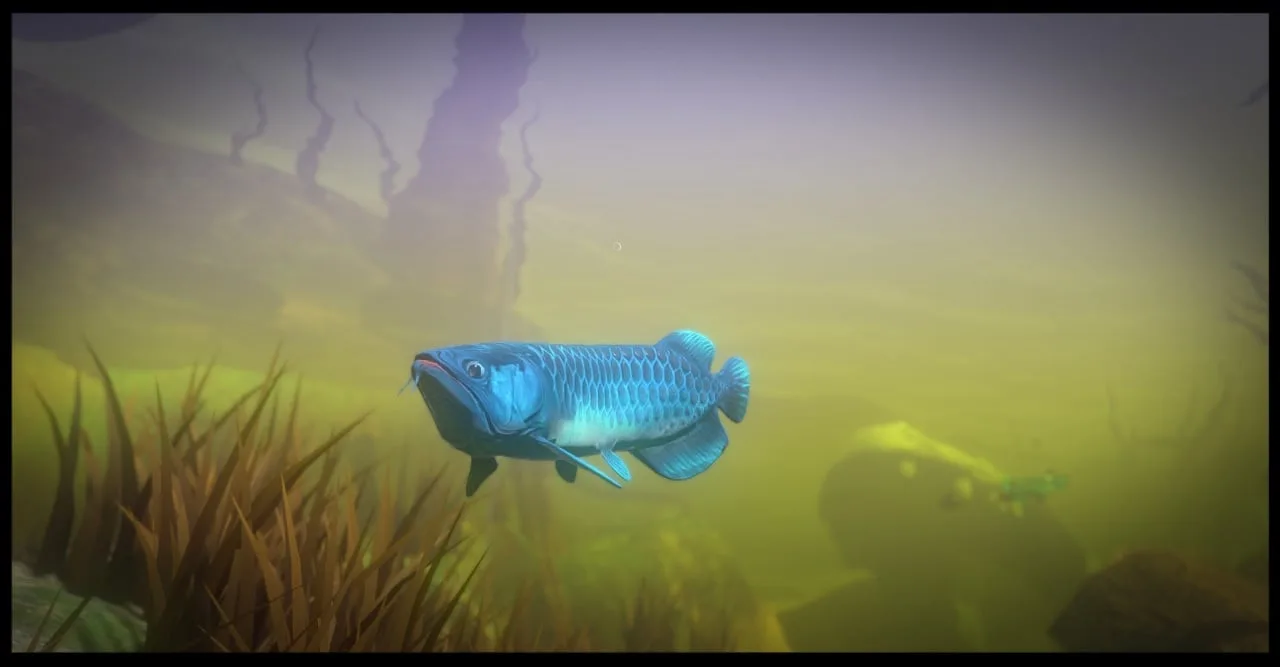 Feed and Grow: Fish — 1