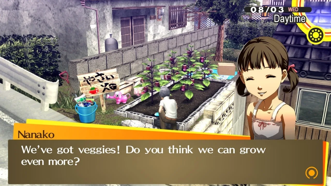 Persona 4 Golden — 11