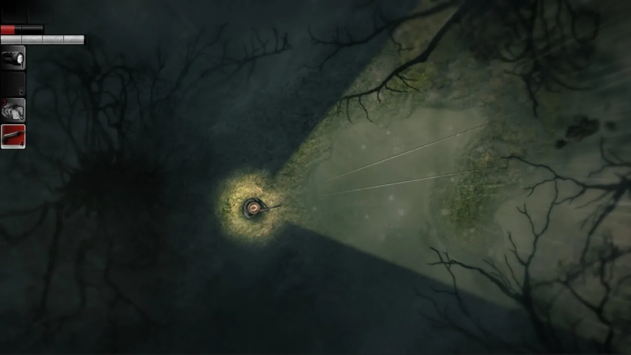 Darkwood — 4