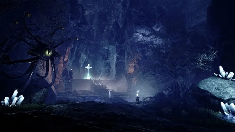 Dark and Light — 5
