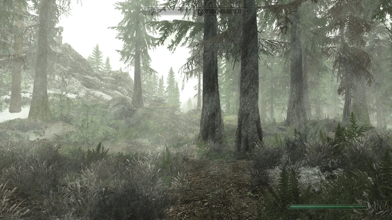 The Elder Scrolls 5: Skyrim Special - MarkMk2 Modpack — 8