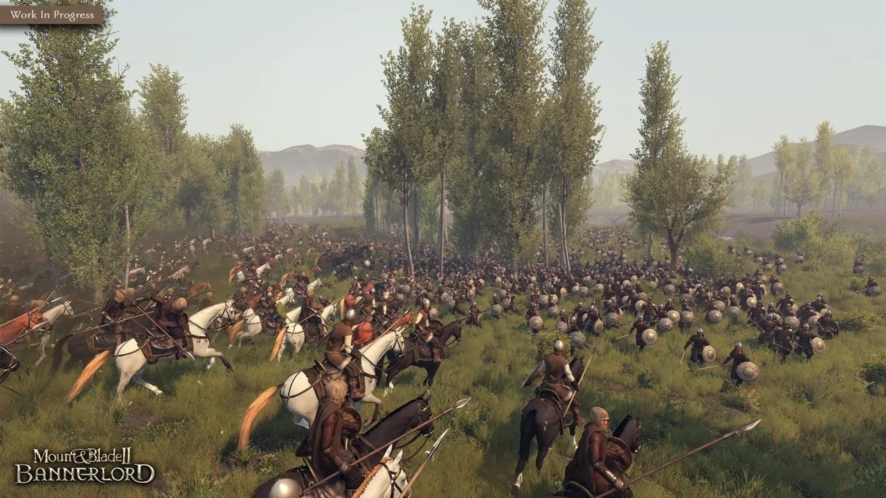 Mount and Blade 2: Bannerlord — 6